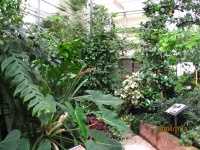 IMG_1467.jpg, 39kB